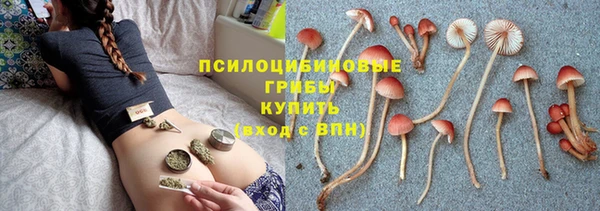 ECSTASY Аркадак