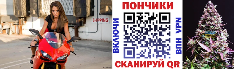 Конопля Bruce Banner  Сегежа 